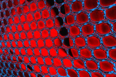 arkaplan olarak soyut renk dokusu, duvar kağıdını kopyala 