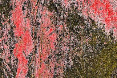 Soyut sanat duvar resmi. Modern, çağdaş sanat geçmişi