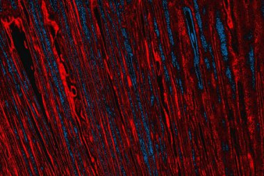 arkaplan olarak soyut renk dokusu, duvar kağıdını kopyala 