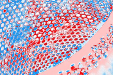 arkaplan olarak soyut renk dokusu, duvar kağıdını kopyala 