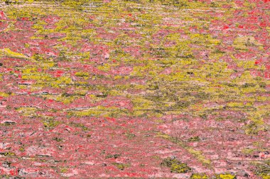 Soyut sanat duvar resmi. Modern, çağdaş sanat geçmişi