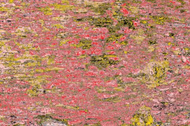 Soyut sanat duvar resmi. Modern, çağdaş sanat geçmişi