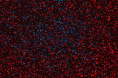 arkaplan olarak soyut renk dokusu, duvar kağıdını kopyala 