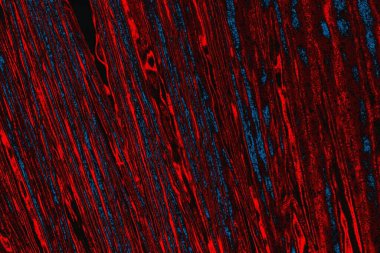 arkaplan olarak soyut renk dokusu, duvar kağıdını kopyala 