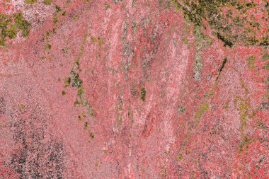 Soyut sanat duvar resmi. Modern, çağdaş sanat geçmişi