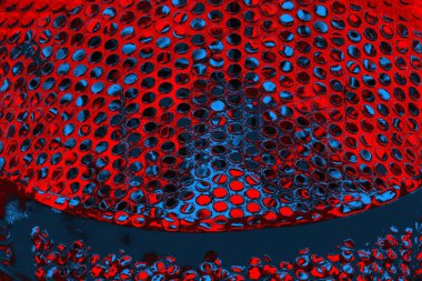 soyut renk dokusu, arkaplan, duvar kağıdını kopyala