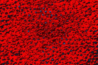 soyut renk dokusu, arkaplan, duvar kağıdını kopyala