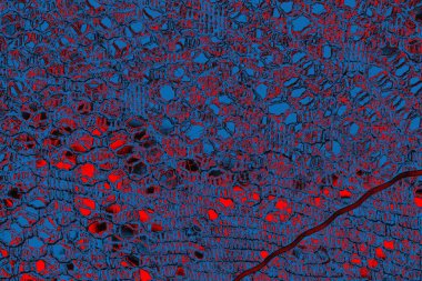 Soyut boyalı arka plan. Soyut sanat geçmişi. Renk dokusu