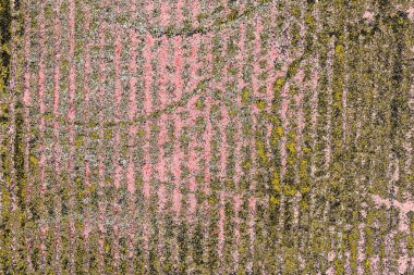 Soyut sanat duvar resmi. Modern, çağdaş sanat geçmişi