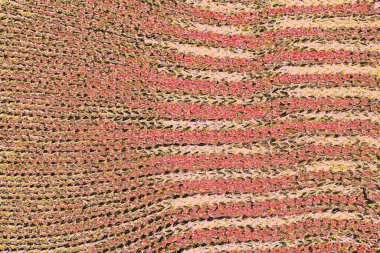 Soyut sanat duvar resmi. Modern, çağdaş sanat geçmişi