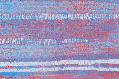 arkaplan olarak soyut renk dokusu, duvar kağıdını kopyala 