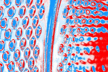 arkaplan olarak soyut renk dokusu, duvar kağıdını kopyala 