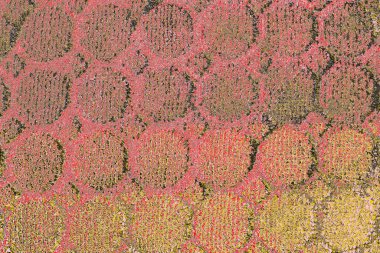 Soyut sanat duvar resmi. Modern, çağdaş sanat geçmişi