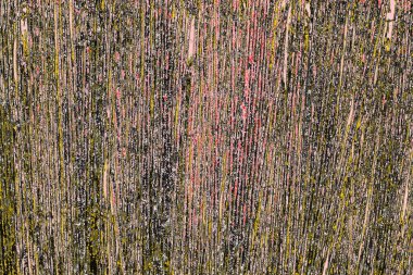 Soyut sanat duvar resmi. Modern, çağdaş sanat geçmişi