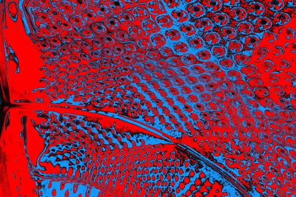 soyut renk dokusu, arkaplan, duvar kağıdını kopyala