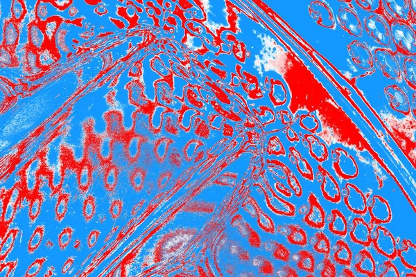 arkaplan olarak soyut renk dokusu, duvar kağıdını kopyala 