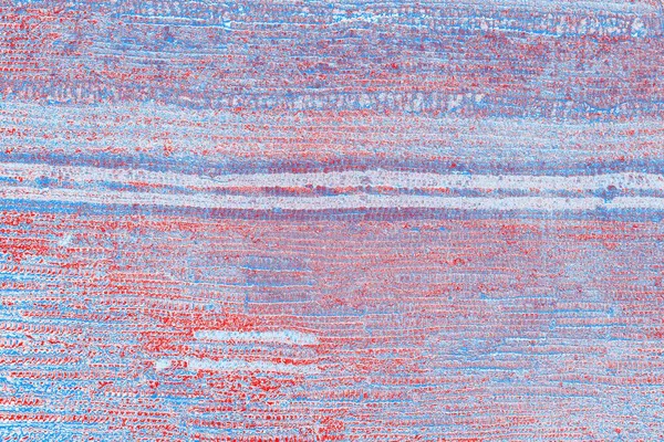 arkaplan olarak soyut renk dokusu, duvar kağıdını kopyala 