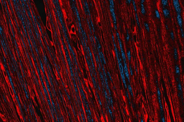 arkaplan olarak soyut renk dokusu, duvar kağıdını kopyala 