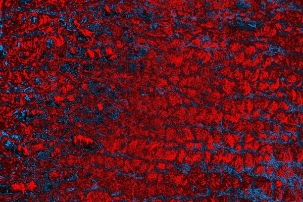 soyut renk dokusu, arkaplan, duvar kağıdını kopyala