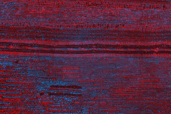 soyut renk dokusu, arkaplan, duvar kağıdını kopyala