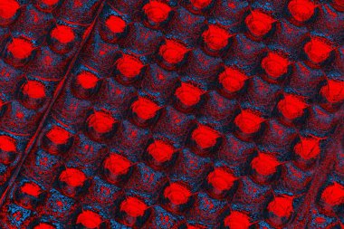 soyut renk dokusu, arkaplan, duvar kağıdını kopyala