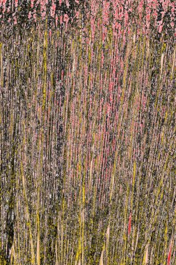 Soyut sanat duvar resmi. Modern, çağdaş sanat geçmişi