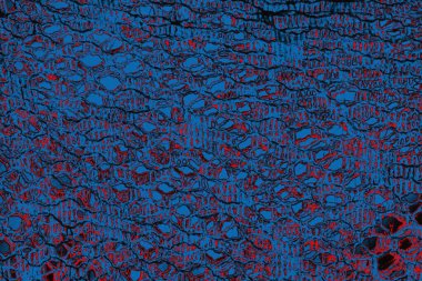 Soyut boyalı arka plan. Soyut sanat geçmişi. Renk dokusu