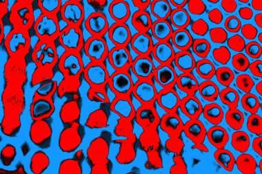 soyut renk dokusu, arkaplan, duvar kağıdını kopyala