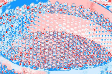 arkaplan olarak soyut renk dokusu, duvar kağıdını kopyala 