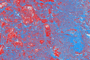 arkaplan olarak soyut renk dokusu, duvar kağıdını kopyala 