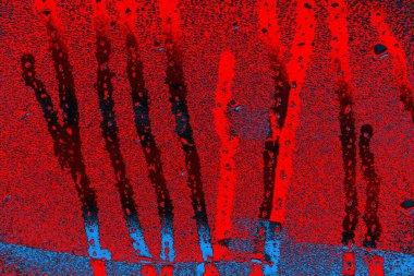 soyut renk dokusu, arkaplan, duvar kağıdını kopyala