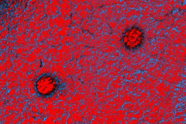 soyut renk dokusu, arkaplan, duvar kağıdını kopyala