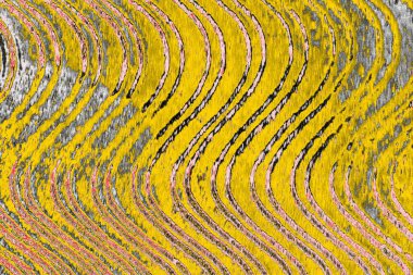 Soyut sanat duvar resmi. Modern, çağdaş sanat geçmişi