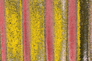 Soyut sanat duvar resmi. Modern, çağdaş sanat geçmişi