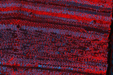 soyut renk dokusu, arkaplan, duvar kağıdını kopyala