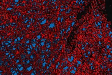 arkaplan olarak soyut renk dokusu, duvar kağıdını kopyala 