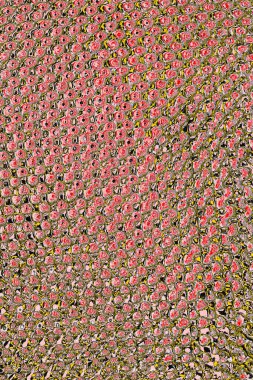 Soyut sanat duvar resmi. Modern, çağdaş sanat geçmişi