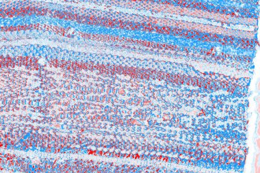 arkaplan olarak soyut renk dokusu, duvar kağıdını kopyala 