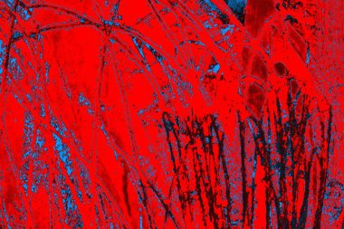 soyut renk dokusu, arkaplan, duvar kağıdını kopyala