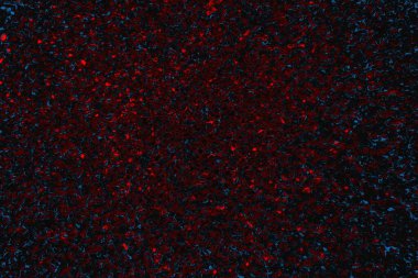 Soyut boyalı arka plan. Soyut sanat geçmişi. Renk dokusu