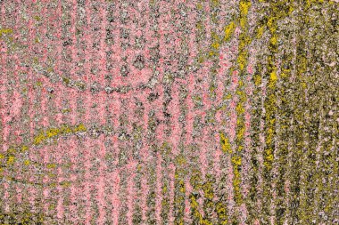 Soyut sanat duvar resmi. Modern, çağdaş sanat geçmişi