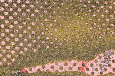 Soyut sanat duvar resmi. Modern, çağdaş sanat geçmişi