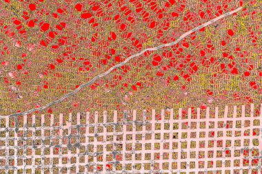 Soyut sanat duvar resmi. Modern, çağdaş sanat geçmişi