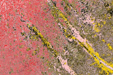 Soyut sanat duvar resmi. Modern, çağdaş sanat geçmişi