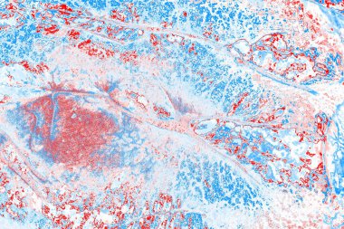 arkaplan olarak soyut renk dokusu, duvar kağıdını kopyala 