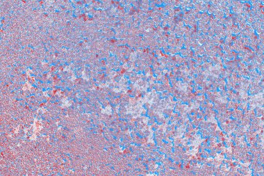 arkaplan olarak soyut renk dokusu, duvar kağıdını kopyala 