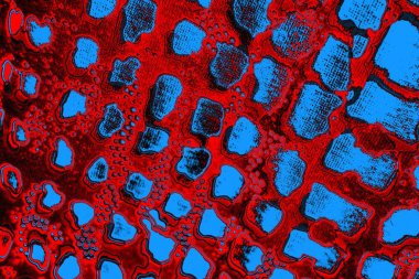 soyut renk dokusu, arkaplan, duvar kağıdını kopyala