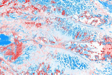 arkaplan olarak soyut renk dokusu, duvar kağıdını kopyala 