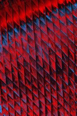 arkaplan olarak soyut renk dokusu, duvar kağıdını kopyala 