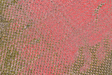 Soyut sanat duvar resmi. Modern, çağdaş sanat geçmişi